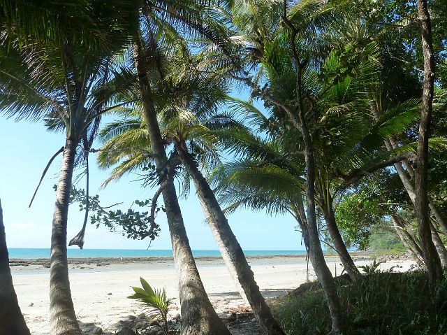 724-cape-tribulation-122-coconut-beach - kopie.jpg - Queensland